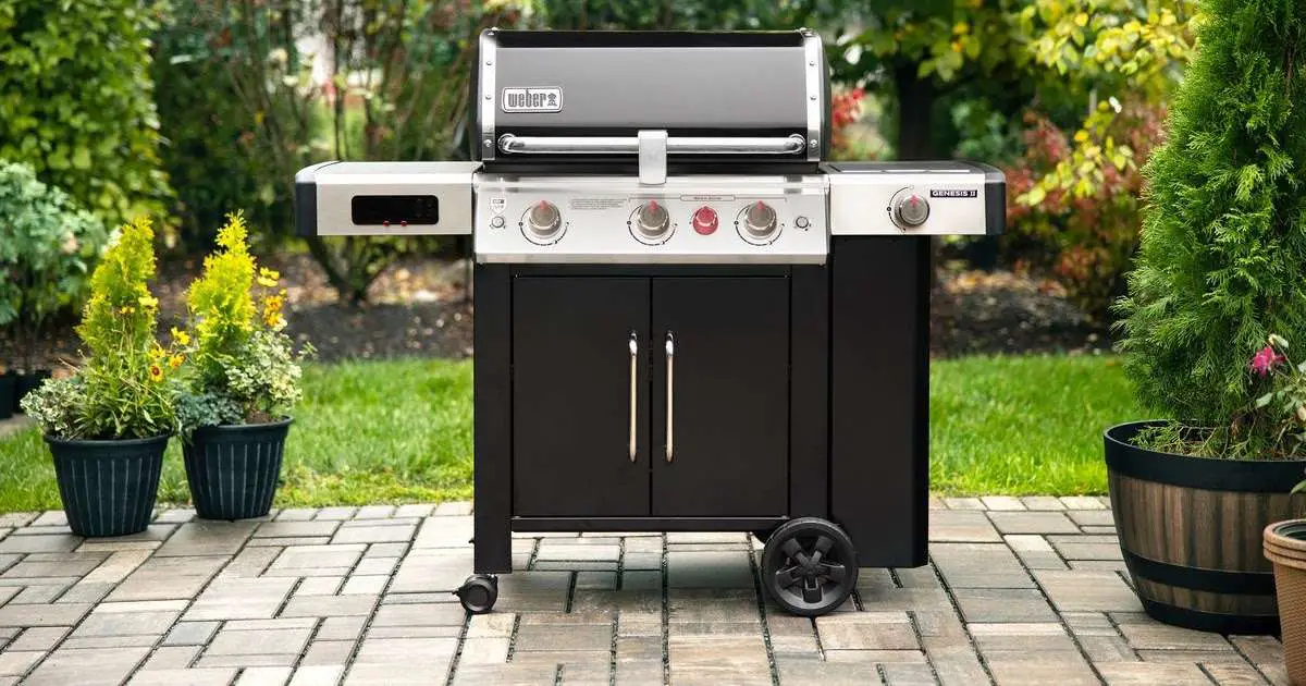 17++ How Do I Know Which Weber Genesis Grill I Have info