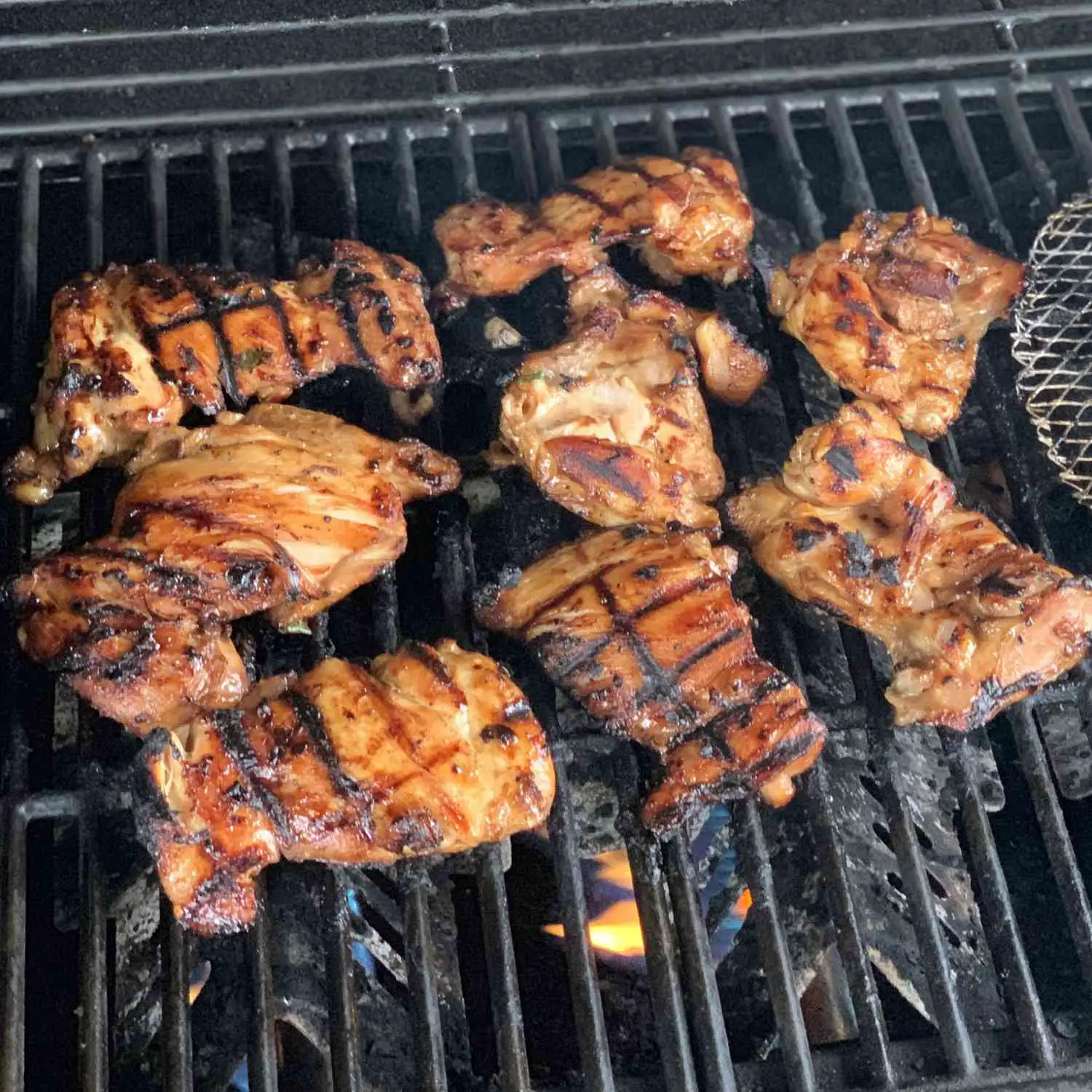 30 Grilled Chicken Thigh Recipes