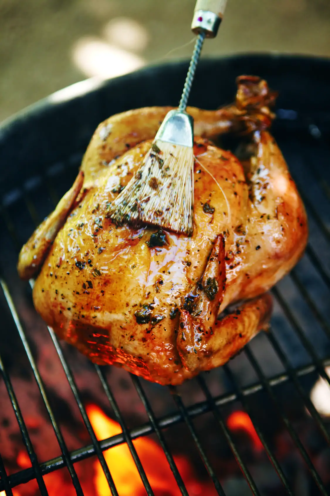 5 Ways to Grill a Whole Chicken