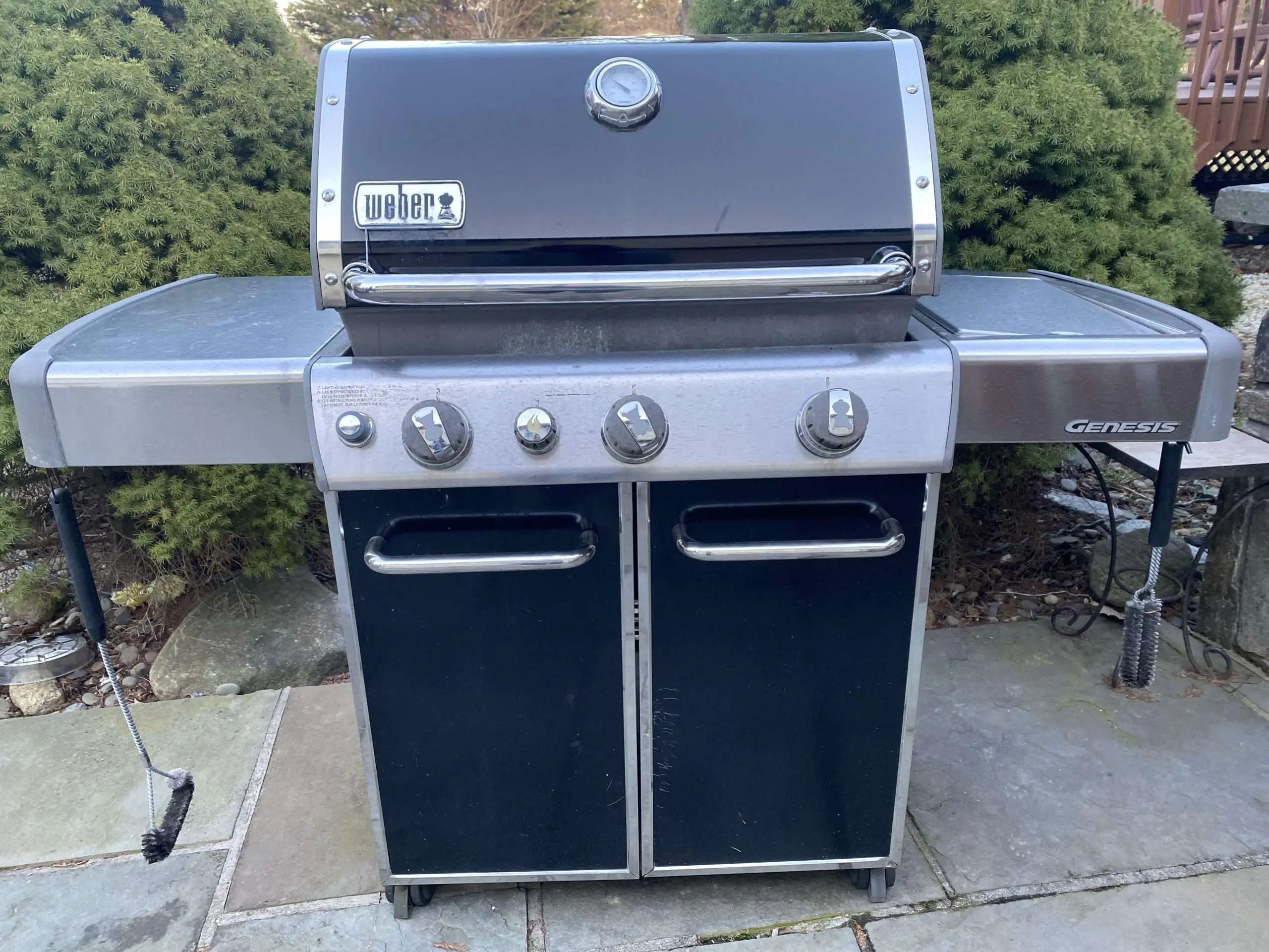 Anyone recognize this model? Weber Genesis ??? Need to replace the ...