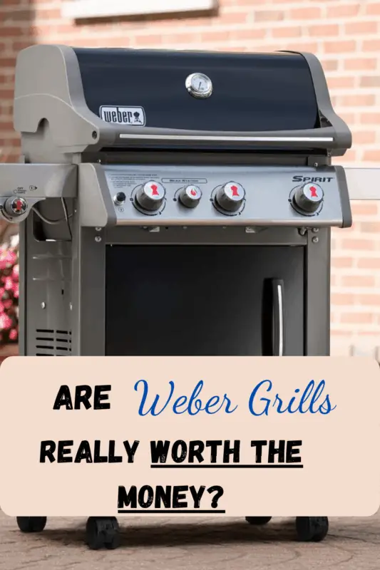 Are Weber Grills Worth the Money? â Sunshine & Play