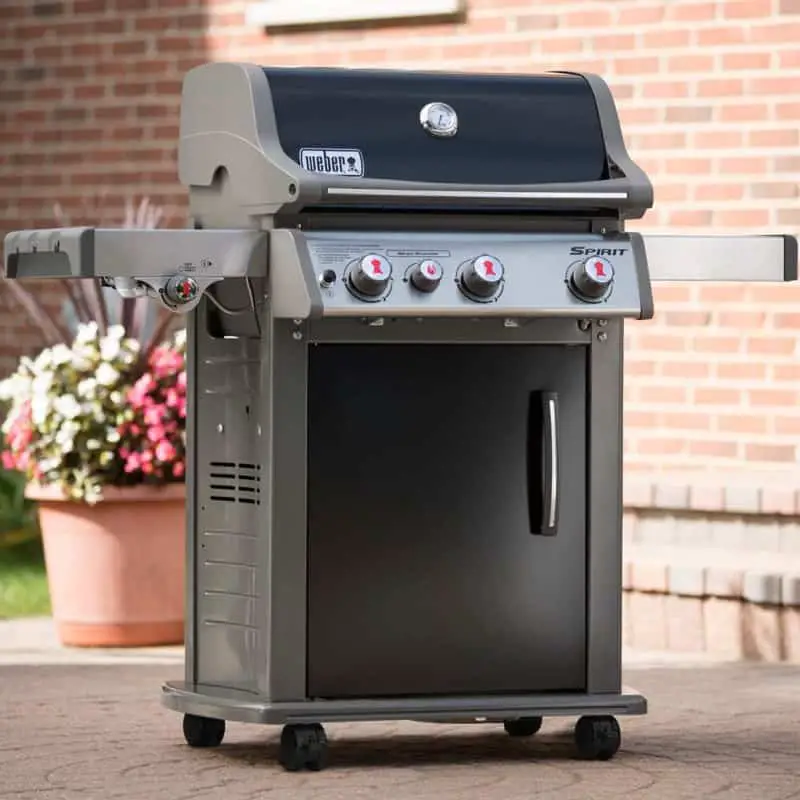 Are Weber Grills Worth the Money?  Sunshine &  Play