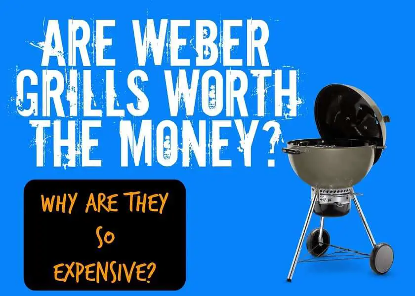 Are Weber Grills Worth The Money? Why Are They So ...