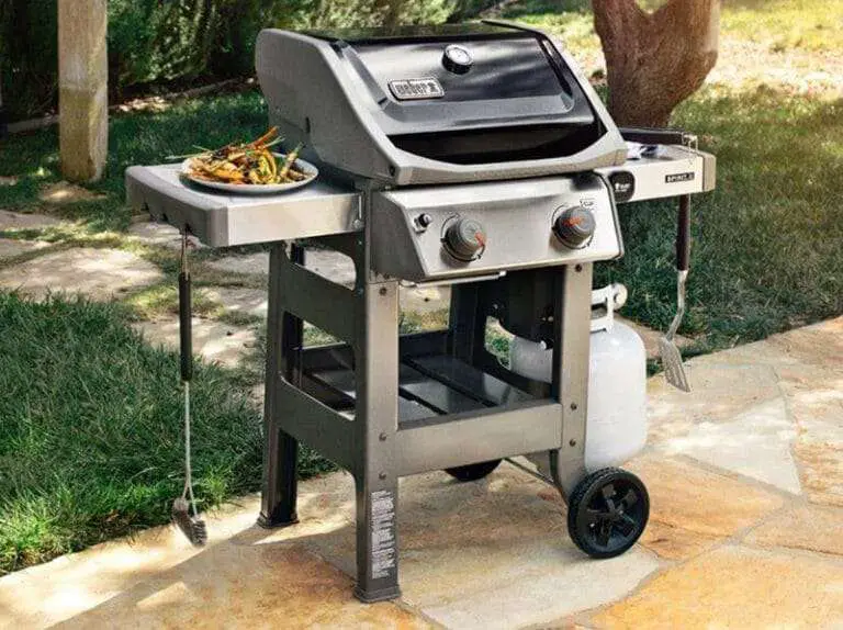 Best 2 Burner Gas Grill 2021: Top Brands Review