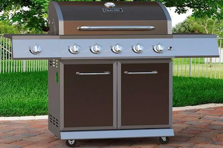 Best Gas Grill for the Money in 2021