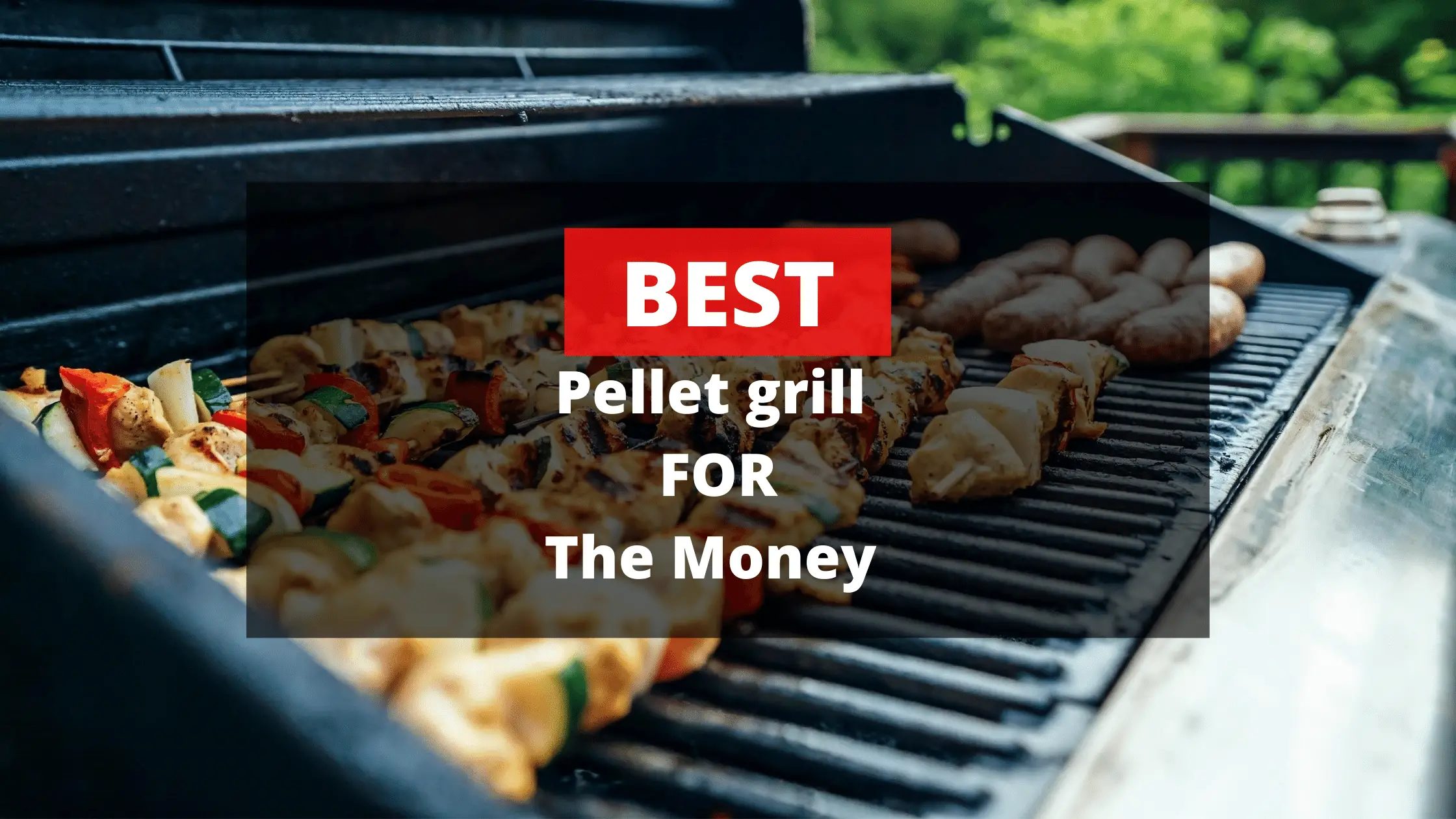 Best Pellet Grill for the Money [MUST READ