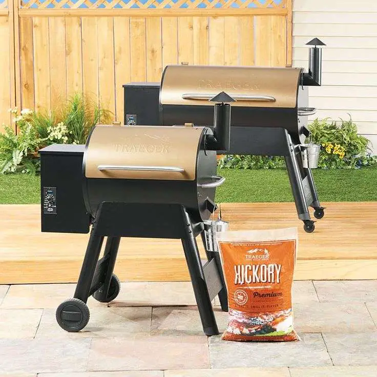 Buy any Traeger Grill for $399 or more and get a FREE 20 ...