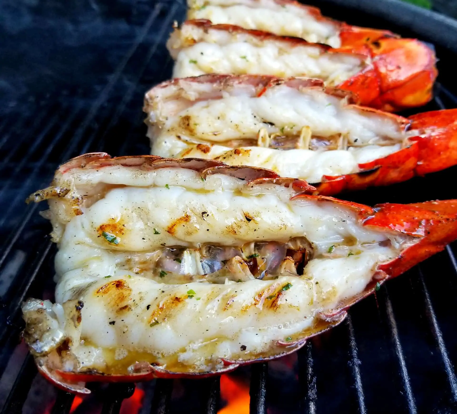 Buy BBQ Lobster Tail in Shell