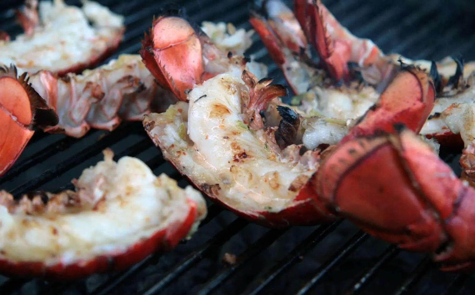 Charcoal Grilled Lobster Tails