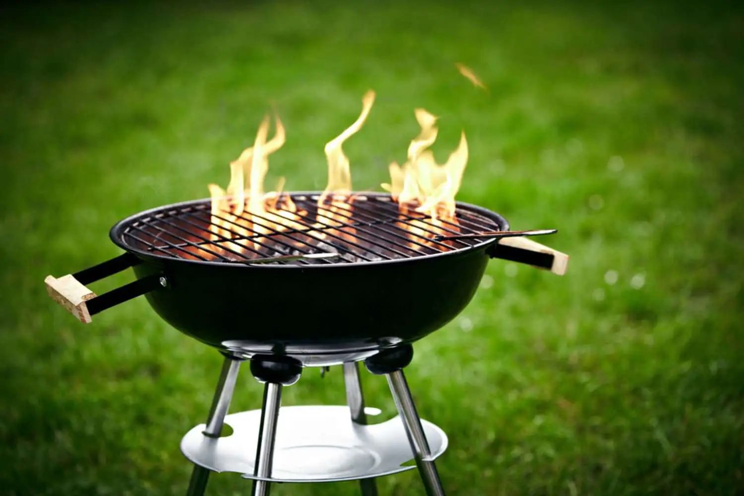 Charcoal vs. Gas Grilling: A Scientific Look at Which ...