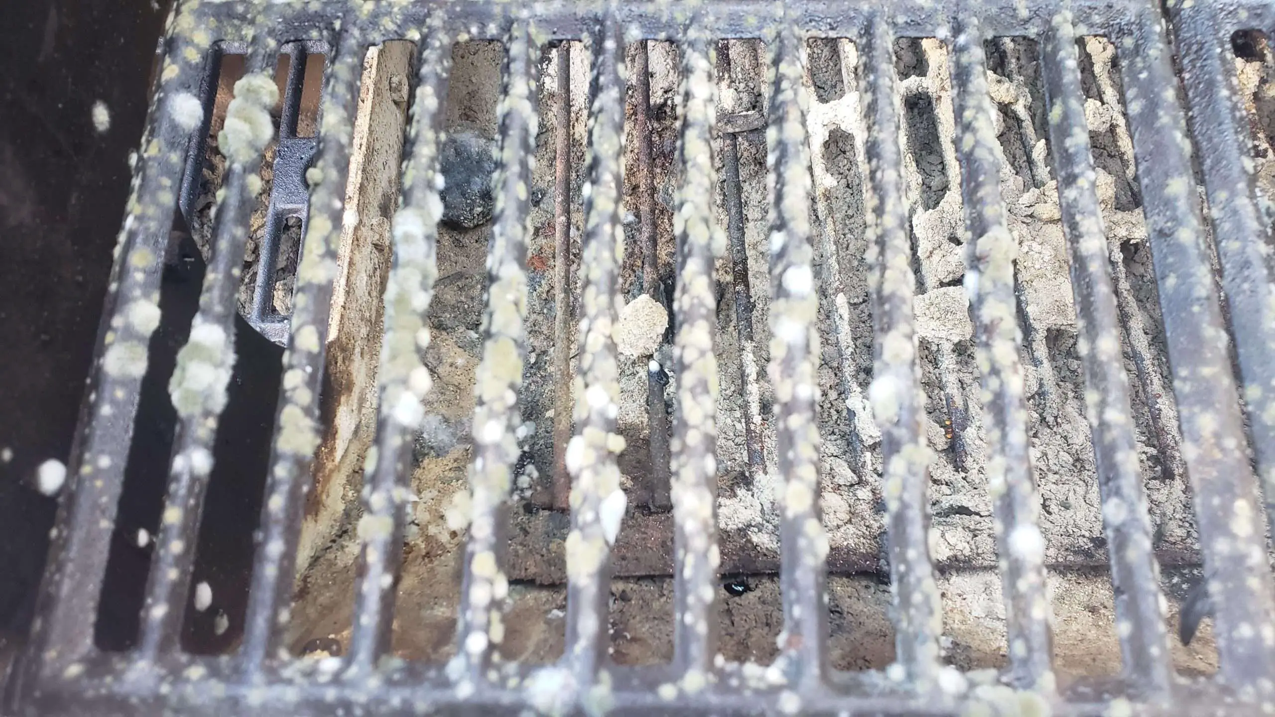 Does anyone know how to clean mold off cast iron grates ...