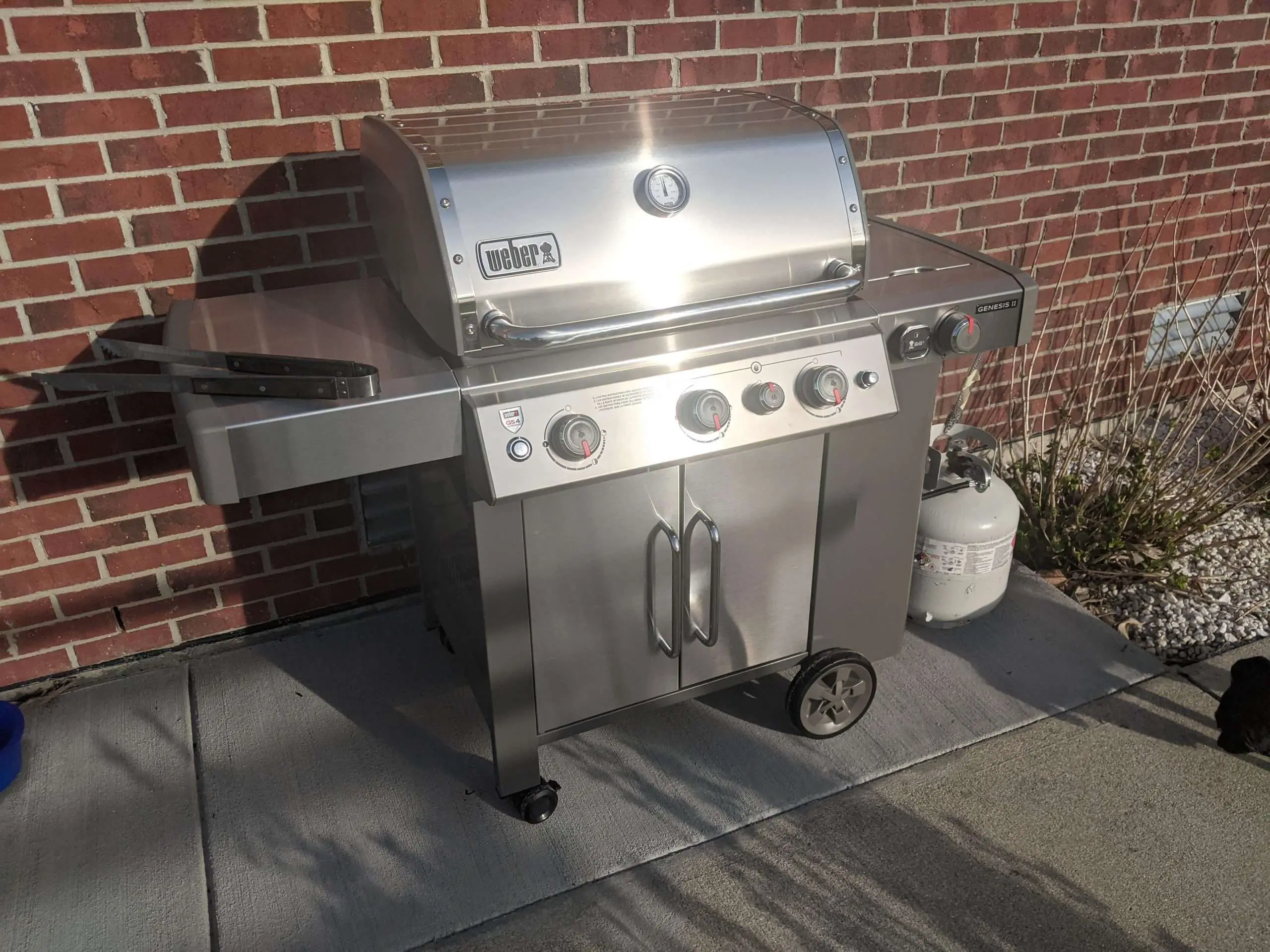 First Stainless Steel grill for me. What