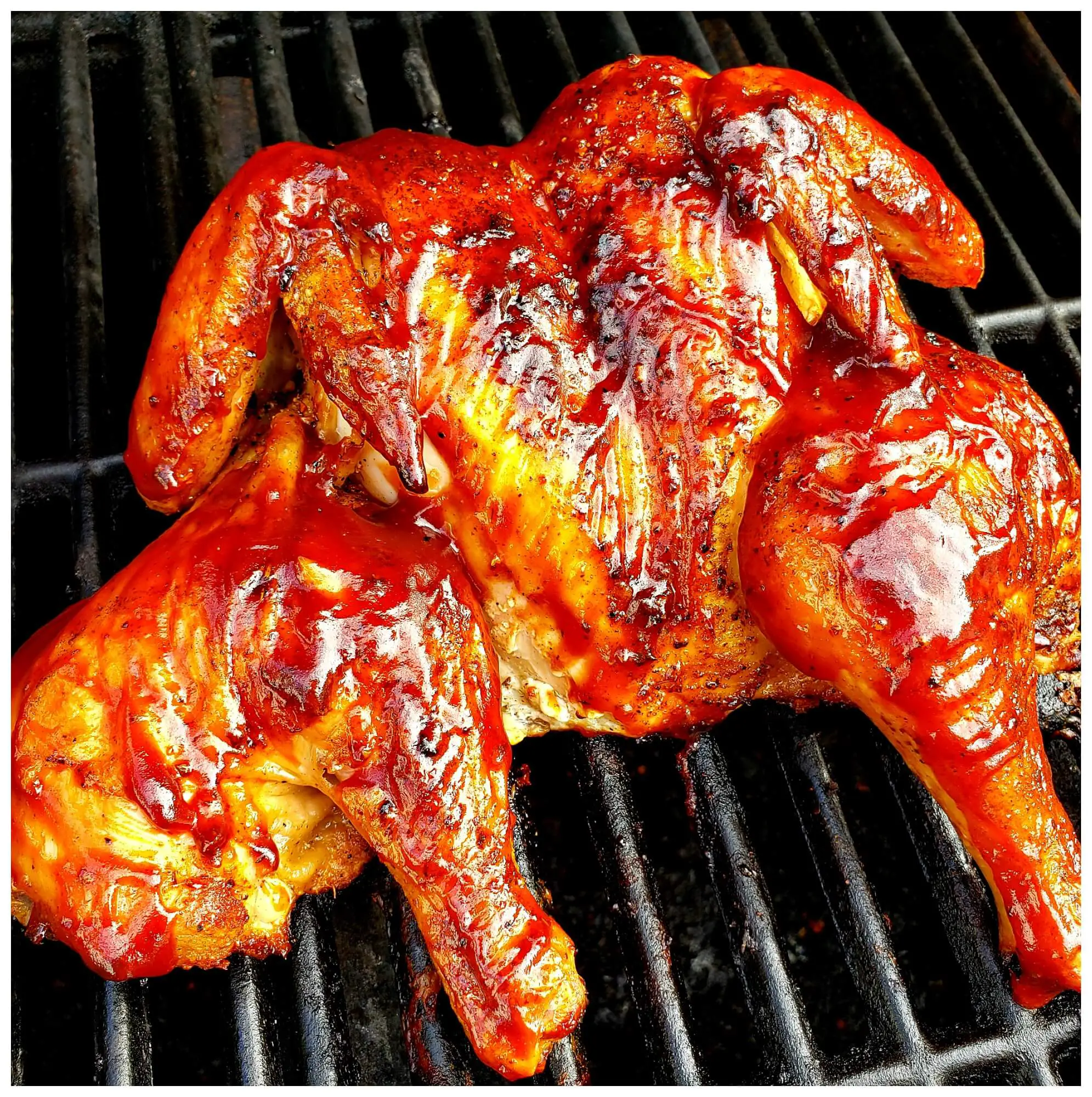 Gas Grilled Whole Chicken Recipe Spatchcock Style