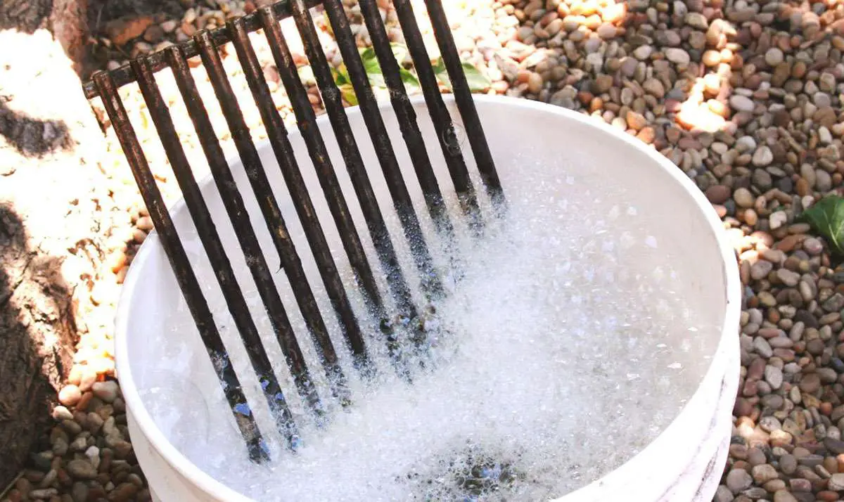 Get Your Grill As Good As New With These Easy, Efficient Cleaning Tips