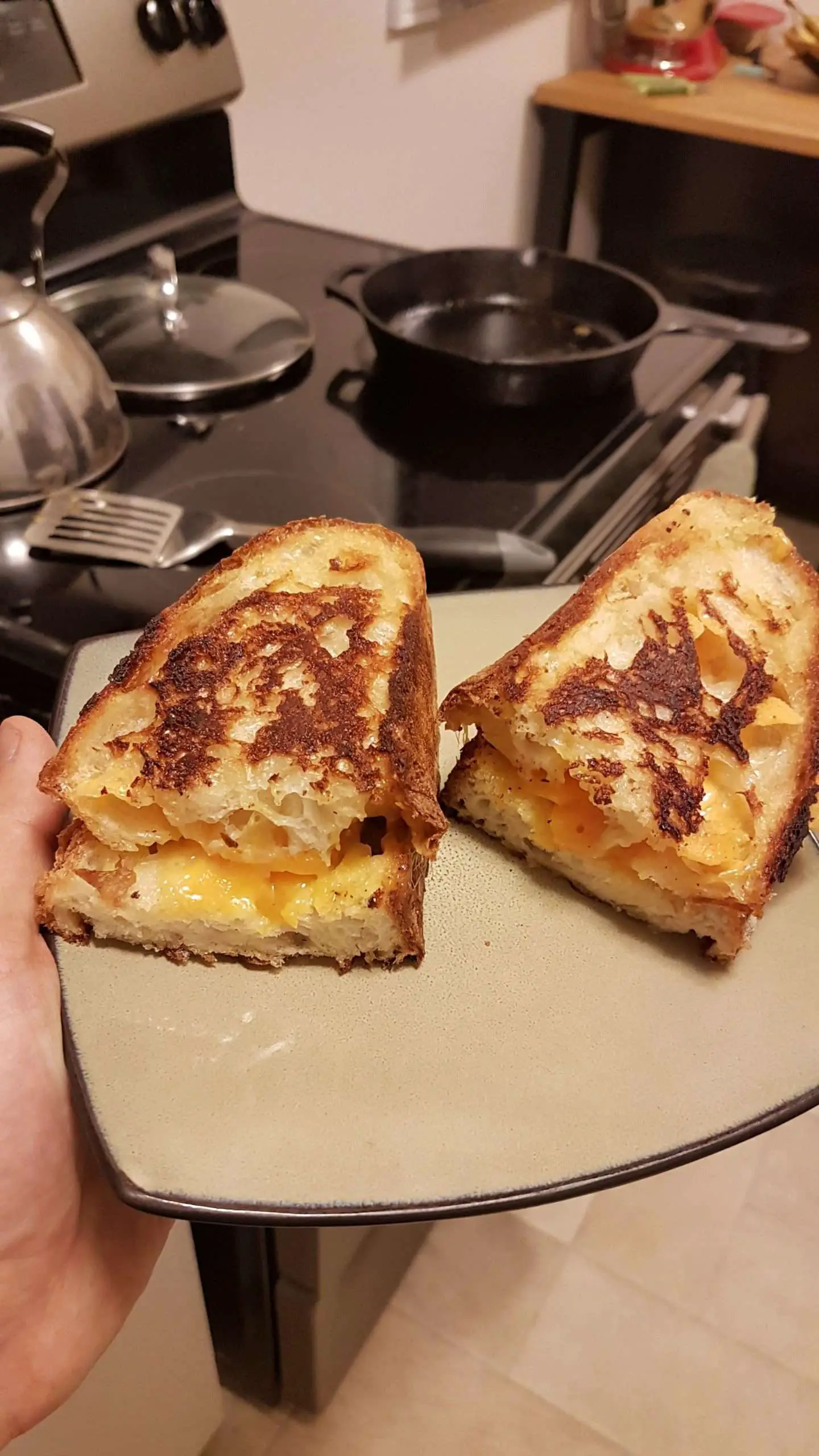 Grilled cheese using my homemade bread! : grilledcheese