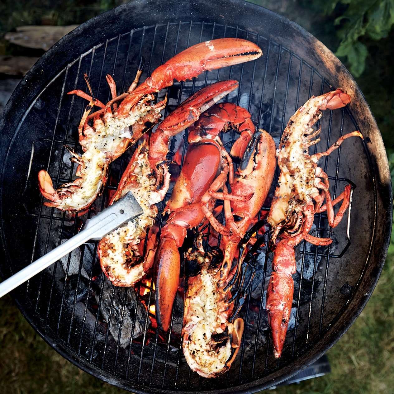 Grilled Split Lobster recipe