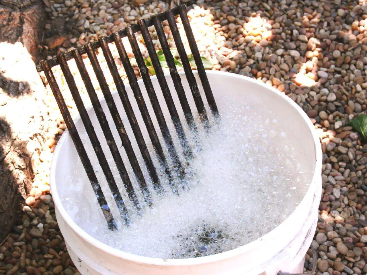 How to Clean a Barbeque Grill in 15 Minutes