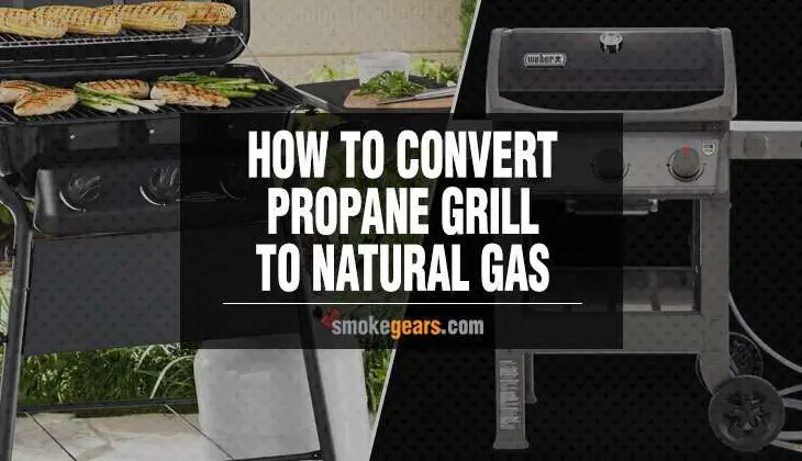 How To Convert Propane Grill To Natural Gas  Heres ...