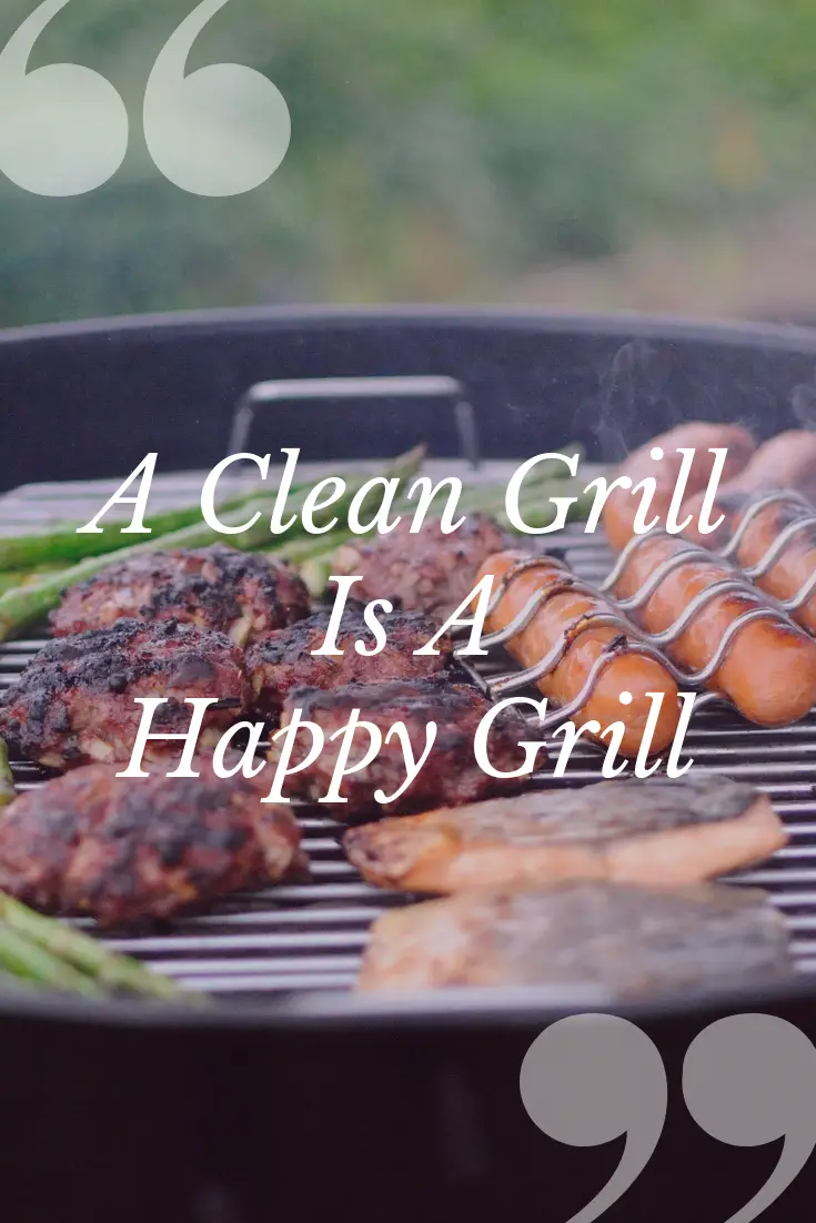 How To Get Rid of Grill Mold (Its Simple We Promise ...