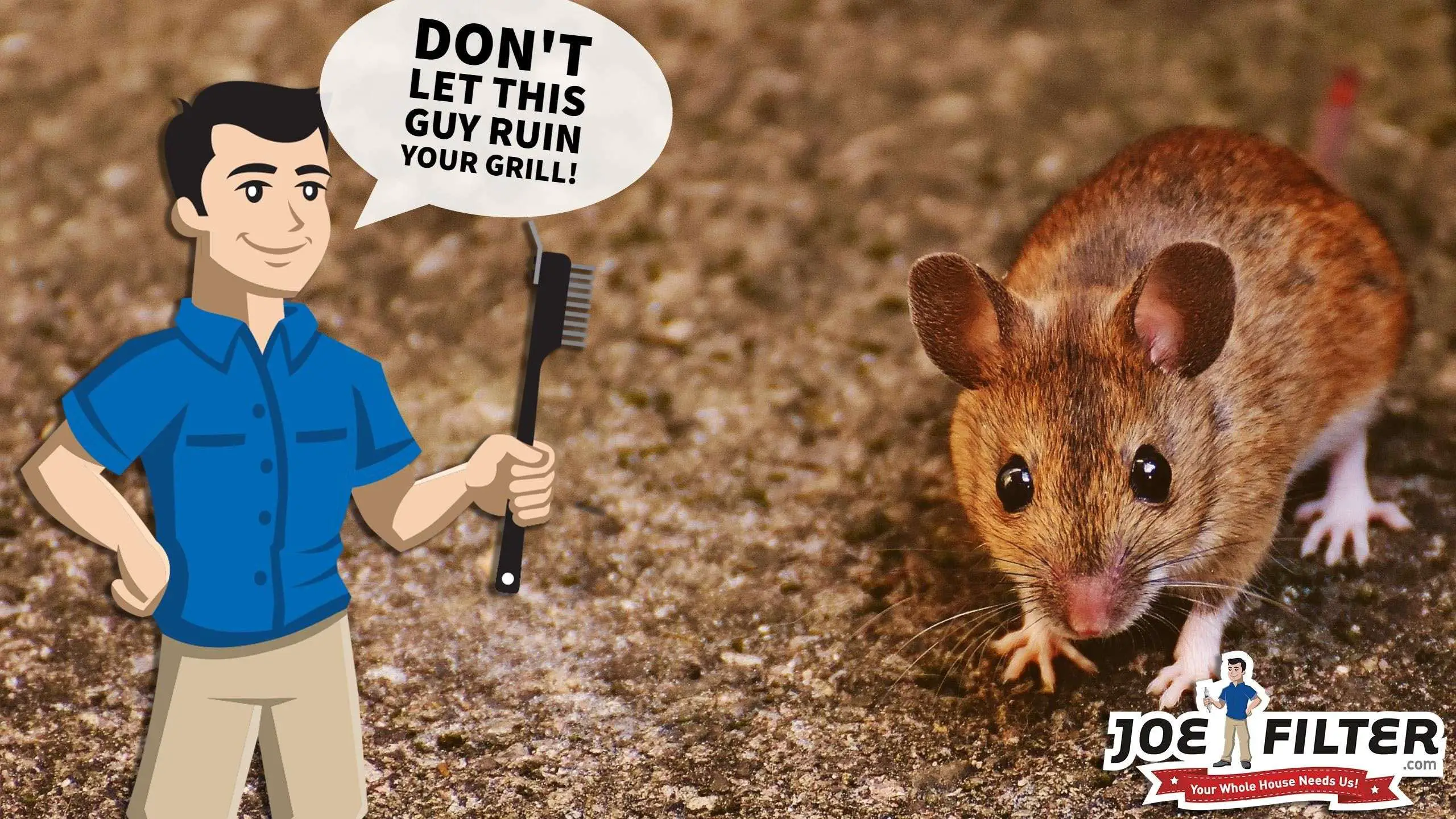 How to Get Rid of Rodents in your BBQ Grill