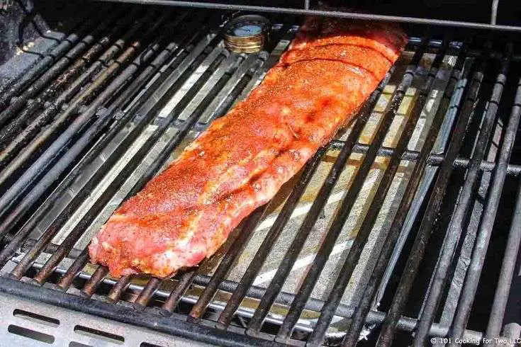 How to Grill Baby Back Ribs on a Gas Grill from 101 ...