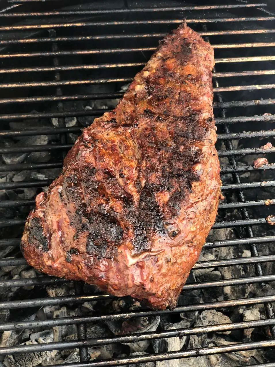 How to Grill Tri Tip Steak ~ The Standard American Dad