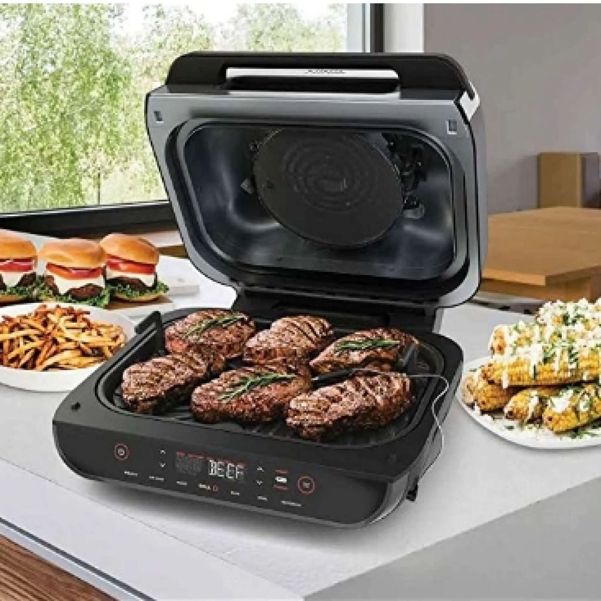 Ninja Foodi Grill Review  The Best Indoor Electric Grill for 2021