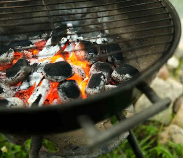 Pros and Cons of Charcoal vs Gas Grill: Taste, Cost ...