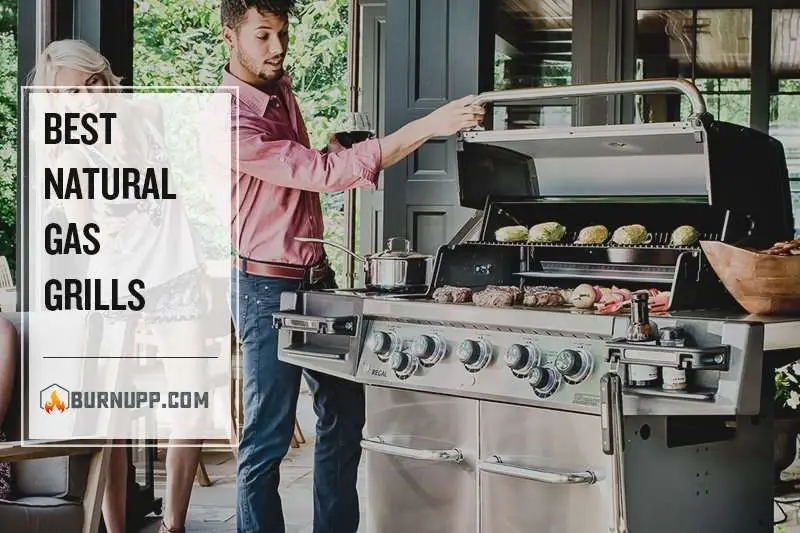 The 10 Best Natural Gas Grills Worth Investing In 2019 ...