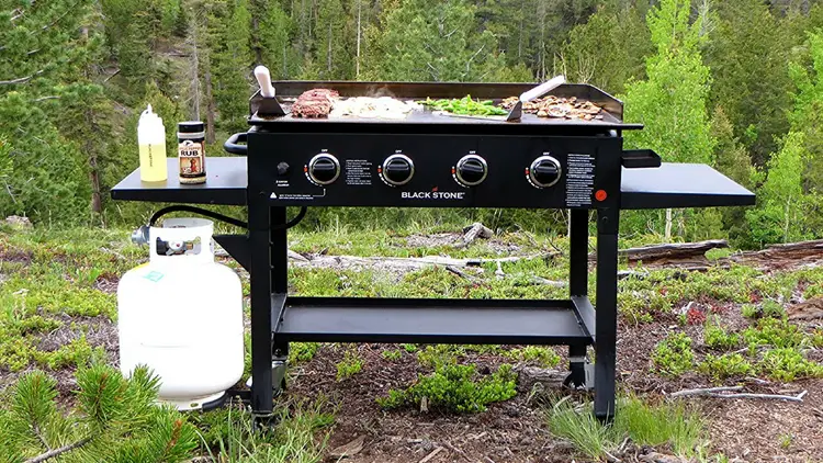 The 8 best grills you can buy in 2018