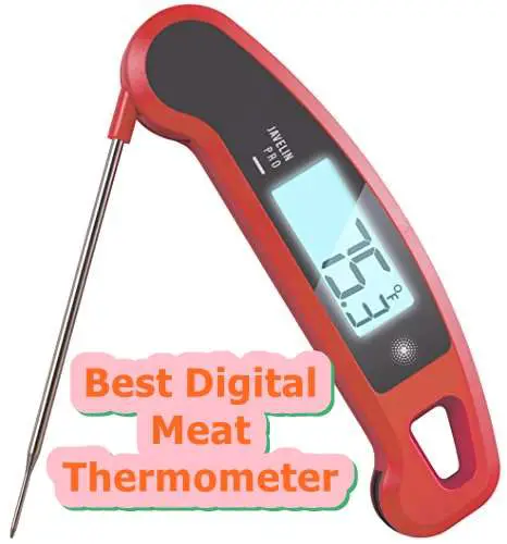Top 15 Best Digital Meat Thermometers For Smoker/Grilling ...