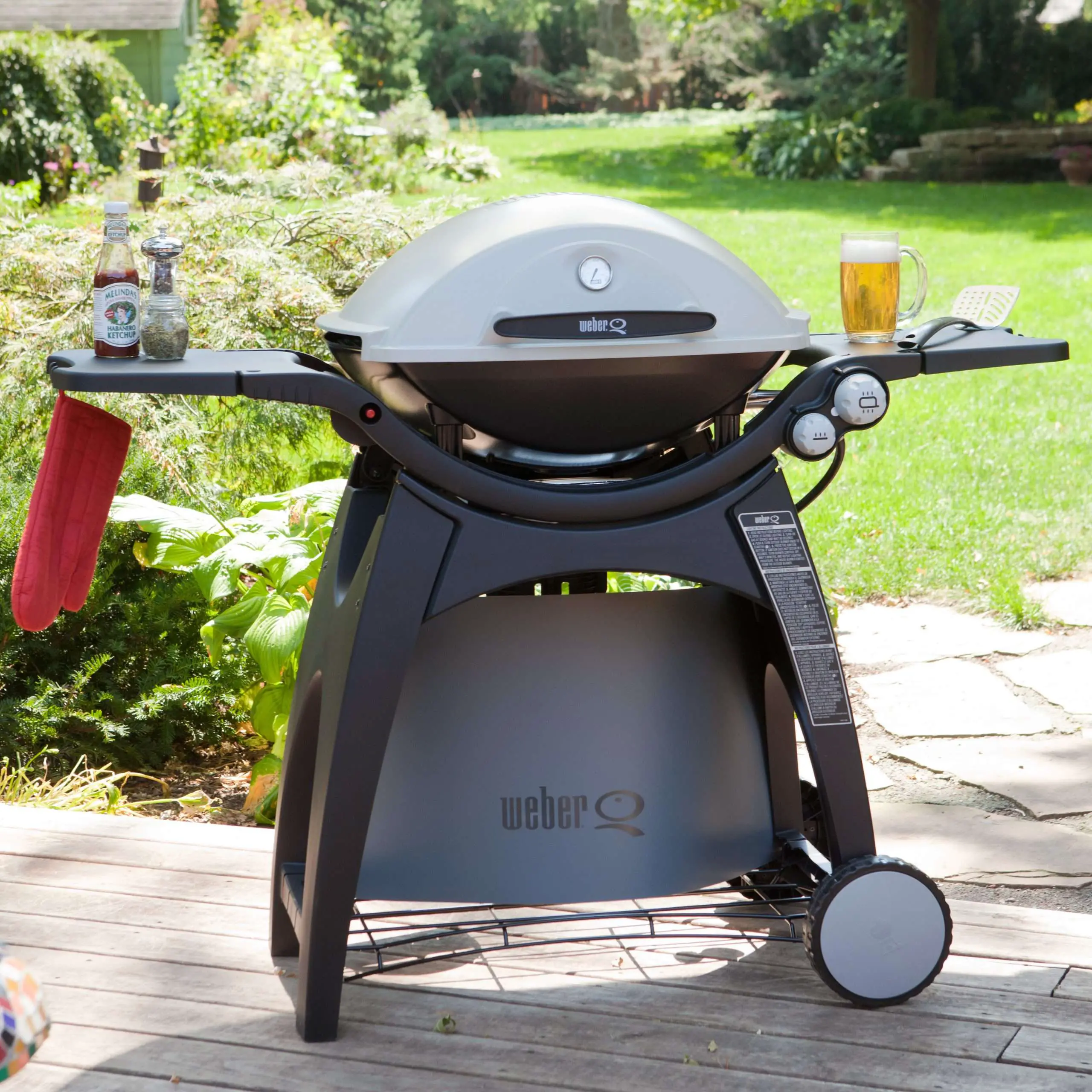 Weber Q 300 Gas Grill at Hayneedle