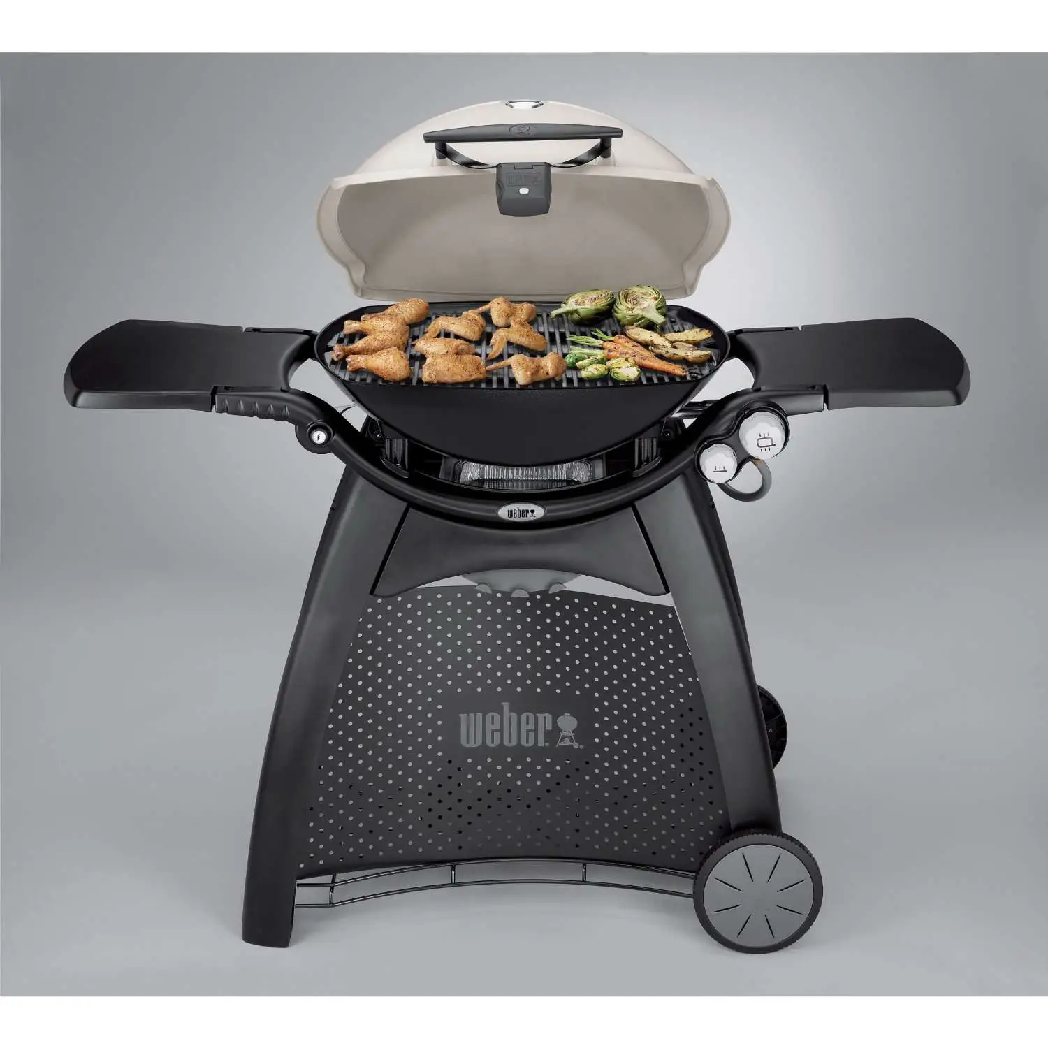 Weber Q 3200 propane and natural gas grill