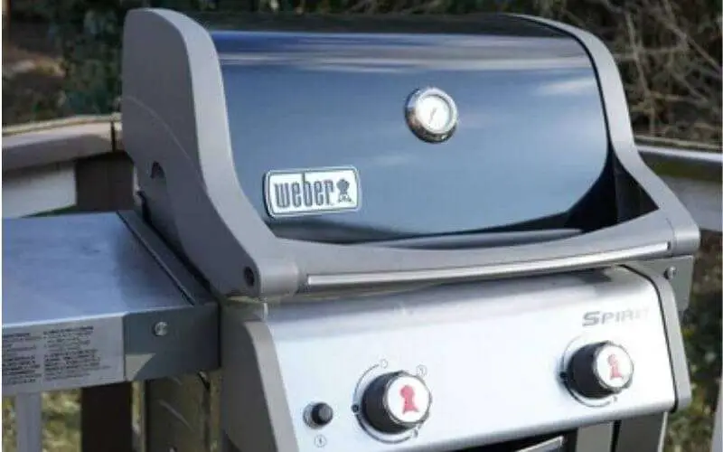 Why Is Weber Grills So Expensive